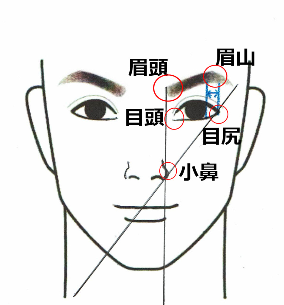 黄金比の眉