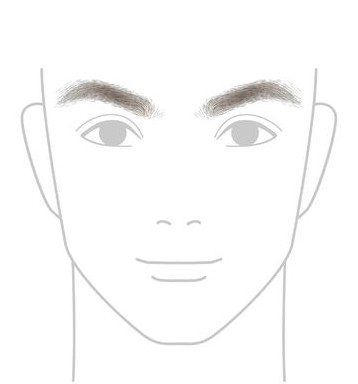 ぼさぼさな眉